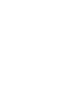 カモメのイラスト